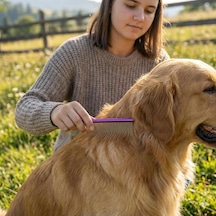 Bakgelal Parlak Metal Kedi Köpek Tüy Bakım Tarağı Uzun Ve Kısa Tüyler İçin Metal Kıtık Açıcı,