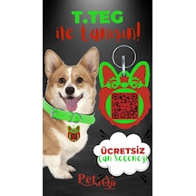Petjoo 15.T.Teg Kırmızı-Yeşil Qr'lı Köpek Künyesi