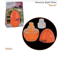 Point 100 Ml Kavanoz Koku Kavun 1 Adet Ev Ofis Araç 001