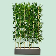 70 Cm Saksıda 11 Adet 170 Cm Bambu Speratör Yeşil
