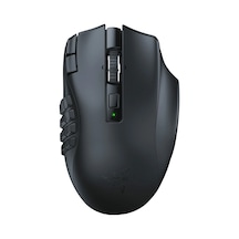 Naga V2