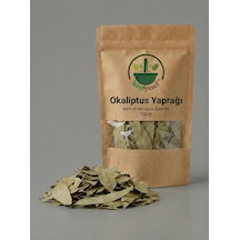 İxirciyusuf Okaliptus Yaprağı Okaliptüs Eucalyptus Leaf Eucalyptus Globulus Kurutulmuş Bitki 100 G Doğal