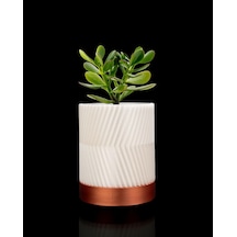 Greennest Mini Duvar Saksısı Sukulent Dekoratif Duvar Saksısı-8