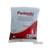 Royal Pantonic Powder Vitamin ve Aminoasit 100 G