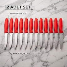 Paslanmaz Çelik Meyve Bıçağı Seti, Kırmızı Saplı, 12 Parça, Mutfak Bıçakları