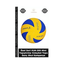 Özel Seri Vlm-300 Mini Yapıştırma Voleybol Topu Genç Okul Kampanya Çok Renkli