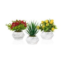 3’Lü Set Mermer Görünümlü Saksıda Yapay Bitkiler Limon Aloevera K