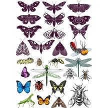 Kelebek Sticker Set-1 18 Parça Telefon, Tablet, Defter, Laptop Sticker