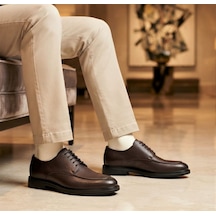 Brown Morus