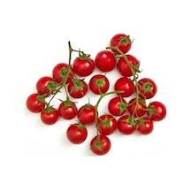 Cherry Domates Tohumu 25+ Tohum N118241