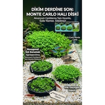 Akvaryum Monte Carlo Canlı Bitki Halı Diski 1 Adet - Suda Yüzmeyen Özel Tasarım Zemin Pad