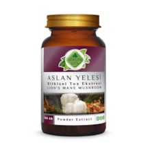 Gökçek Şifa Aslan Yelesi Toz Eki 100 G
