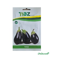 Naz Tohum Topan Patlıcan Tohumu 10 G