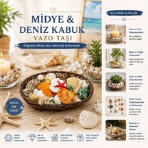 Oval Ahşap Sepet Renkli Mix Midye - Deniz Kabuk Vazo Taşı 5468
