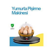 Çok Renkli