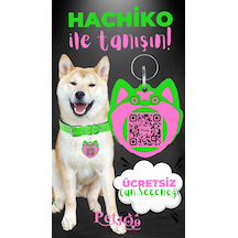 Petjoo 19.Hachiko Pembe-Yeşil Qr'lı Köpek Künyesi