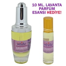 Lavanta