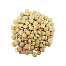 Sanita Acı Bakla Termiye Yahudi Baklası 1 KG