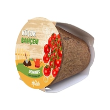 Küçük Bahçem Çeri Domates Tohumu Yetiştirme Seti Genel