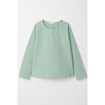 Mint Yeşili