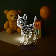 Luvivia Kedi Tasarım Kişiye Özel 3d Lamba - Masa Gece Lambası Şeffaf