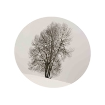 Suntek 140cm Dia Masalar Için Masa Örtüsü Restoran M