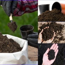 Ortanca Çiçeği Toprağı Torfu 9 Kğ Özel Karışım Bitki Toprağı