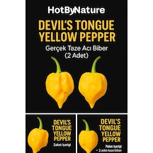 Devil S Tongue Yellow Pepper / 300.000 Scoville - Gerçek Taze Acı Biber