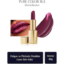 Estee Lauder Pure Color Lipstick Creme Ruj 450 Insolent Plum
