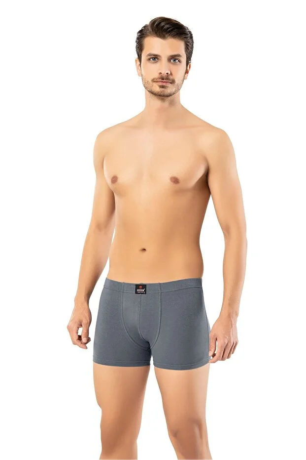 Erdem Erkek Füme 2 Adet Likralı Kutulu Boxer- 1420fw