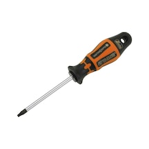 Retta Rx Serisi Torx Tornavida T15