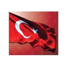 Diğer