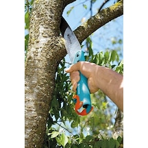 Bahçe Bahçıvan El Testeresi