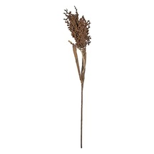Kvist Pampus Çim Koyu Dekor 86 Cm Doğal Diğer