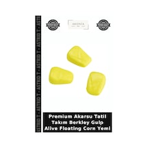 Premium Akarsu Tatil Takım Berkley Gulp Alive Floating Corn Yemi