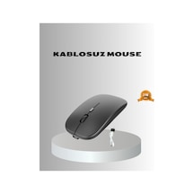 Kablosuz Gaming Mouse Ayarlanabilir, Ergonomik Diğer