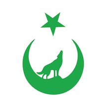 Bozkurt Türk Bağyrağı Sticker 17x17 Cm Yeşil