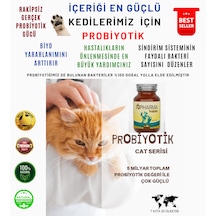 Rb Pharma Çok Güçlü Kedi Probiyotik Hastalanmaya Son 80 G