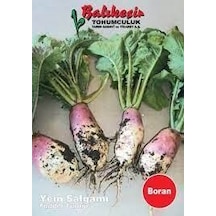 Balıkesir Yem Şalgamı