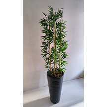 Rüzgar Yapay Çiçekçilik 180 Cm Kumsal Saksıda Bambu Yeşil