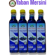 Almila Zeytinevi Yaban Mersini Konsantresi 4 x 700 ML