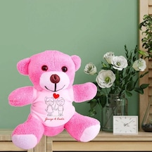 Kişiye Özel Peluş Pembe Ayı Hk2540