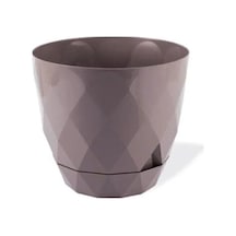 Hubrendy Tedarik 2 No Yakamoz Saksı 1 Adet Royaleks-krs-452