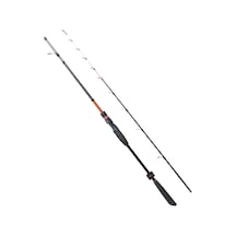 Ryujı Spectra Sp 1.85m 50-300gr 2p Bot Kamışı