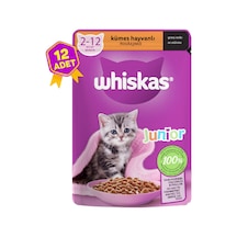 Whiskas Kümes Hayvanlı Pouch Yavru Kedi Konservesi 12 x 85 G