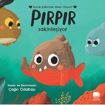 Pırpır Sakinleşiyor