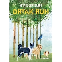 Ortak Ruh \ Miyase Sertbarut - Tudem Yayınları