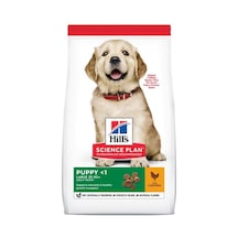 Hill's Puppy Large Tavuklu Büyük Irk Yavru Köpek Maması 14500 G