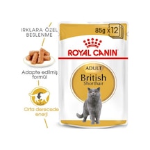 Royal Canin British Shorthair Yaş Kedi Maması 12 Adet X 85 Gr