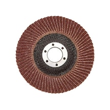 Karbosan 982980 Flap Disk Zımpara 115 x 60